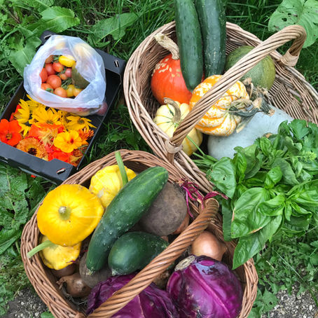 Recipes: The Vegan Revelation Lunch Box