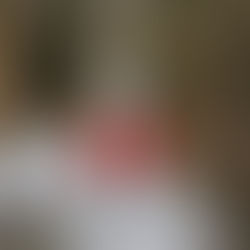 What's On: Betwixtmas 2023