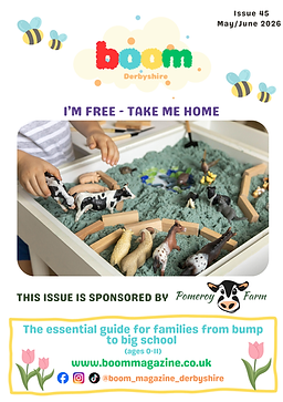 ISSUE 1.png