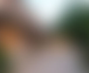 Mariage de Stéphanie & Alexandre, le 10 Septembre 2016