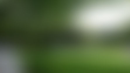 Mariage de Maud & Thibault, samedi 26/08/2017