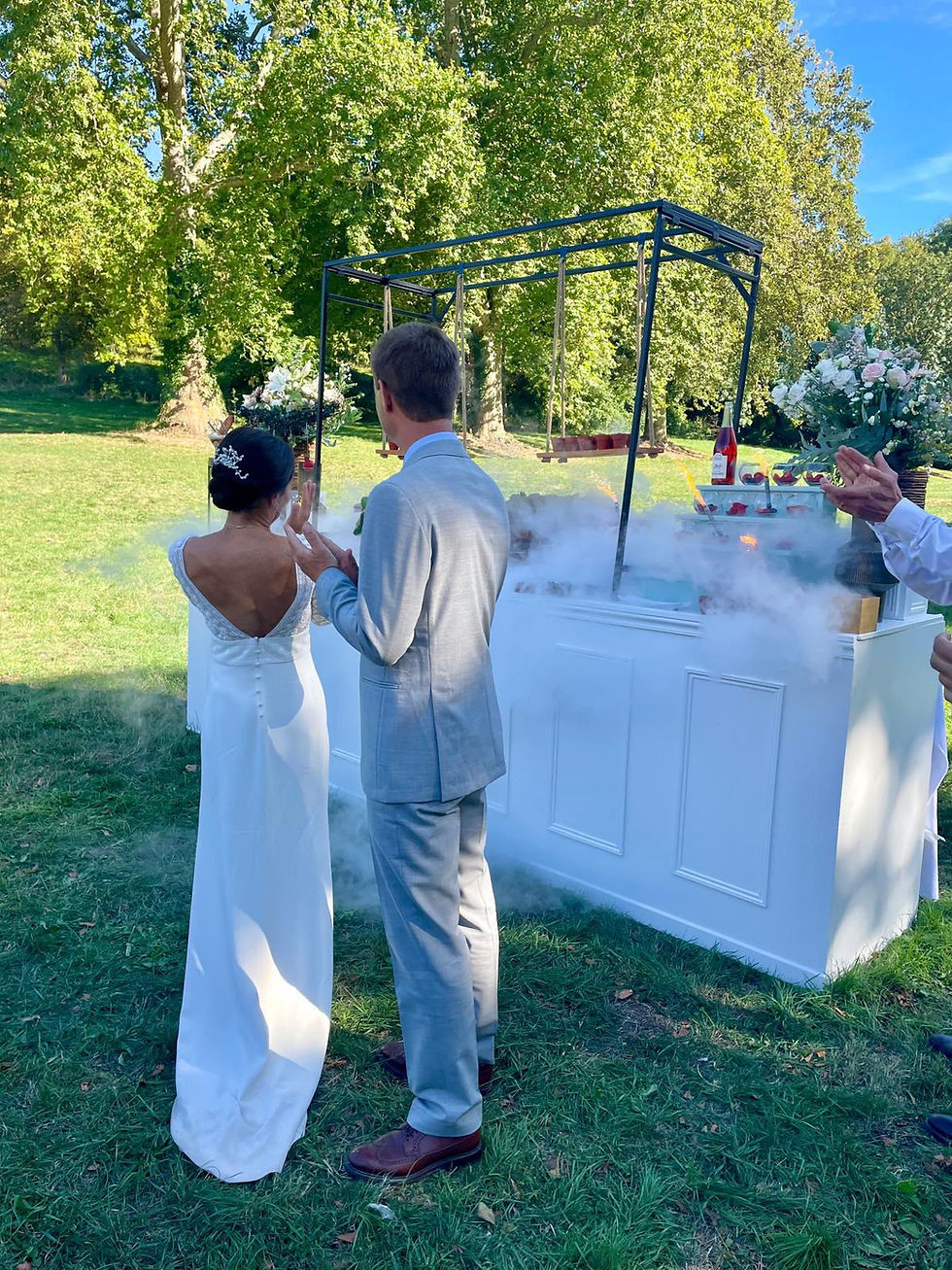 Le magnifique mariage d'Ugo et Lina !