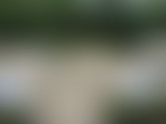 Mariage de Marie & Cyril, le 17 Septembre 2016