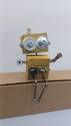 Robot