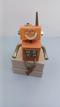 Robot