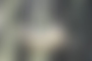 HOW TO MAKE A SUNFLOWER BIRD FEEDER