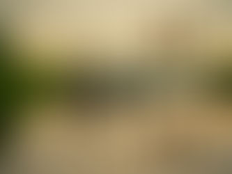 Buddhist Words of Wisdom that Will Transform Your Life: