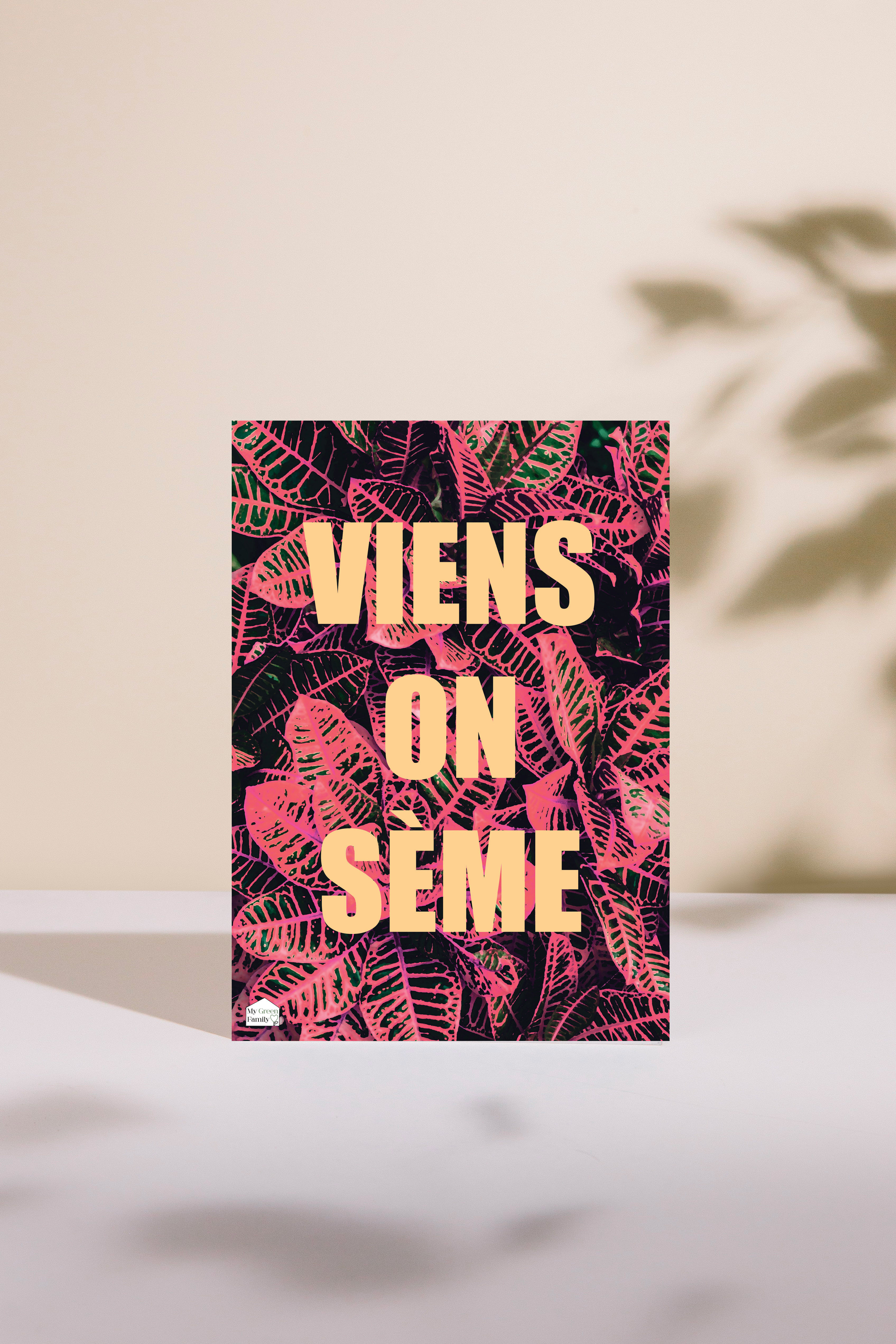 Affiche VIENS ON SÈME