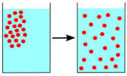 Osmosis Diffusion Lab Report