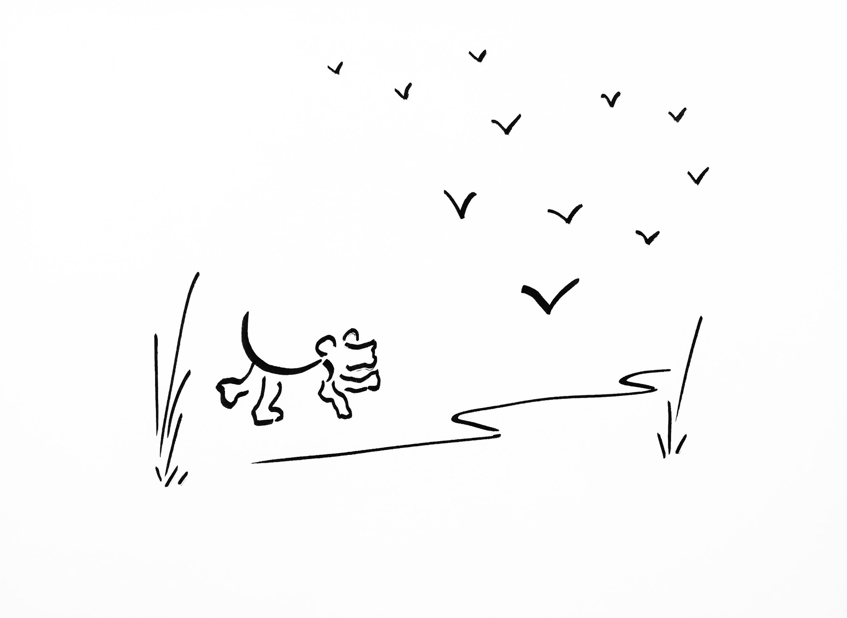 Dog Chasing Birds