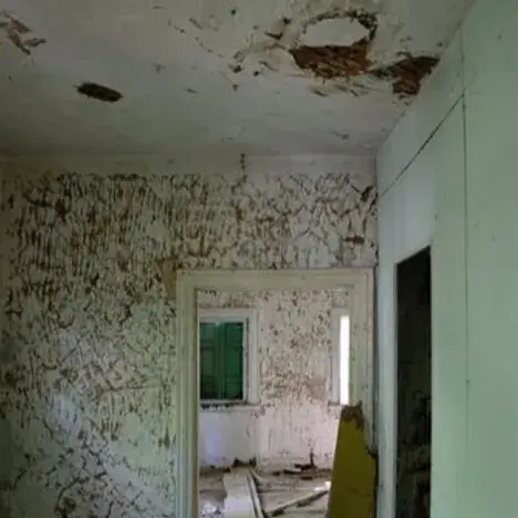 Een vies beschimmeld oud huis met vlekken en en lelijke schimmel