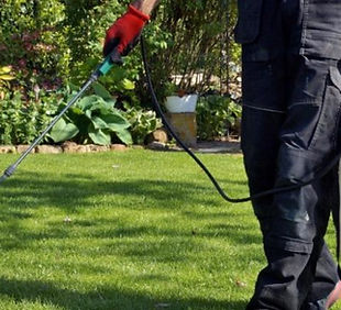 professional-weed-control-dfw-1200x900.jpg