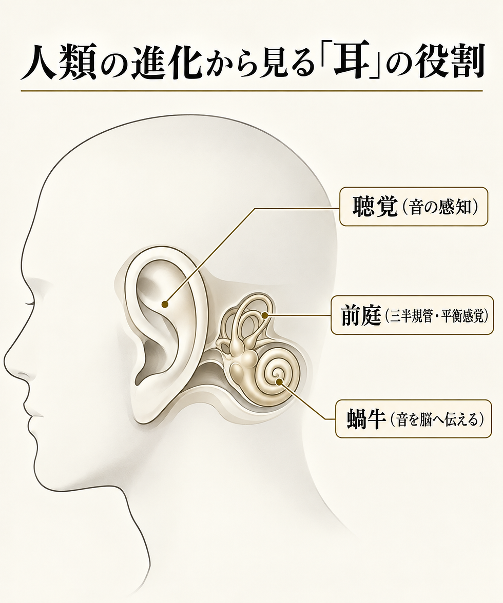 夏の「耳バテ」に注意!エアコン音とセミの雑音が引き起こす身体の不調とセルフケア