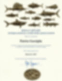 fish mediterranean sea