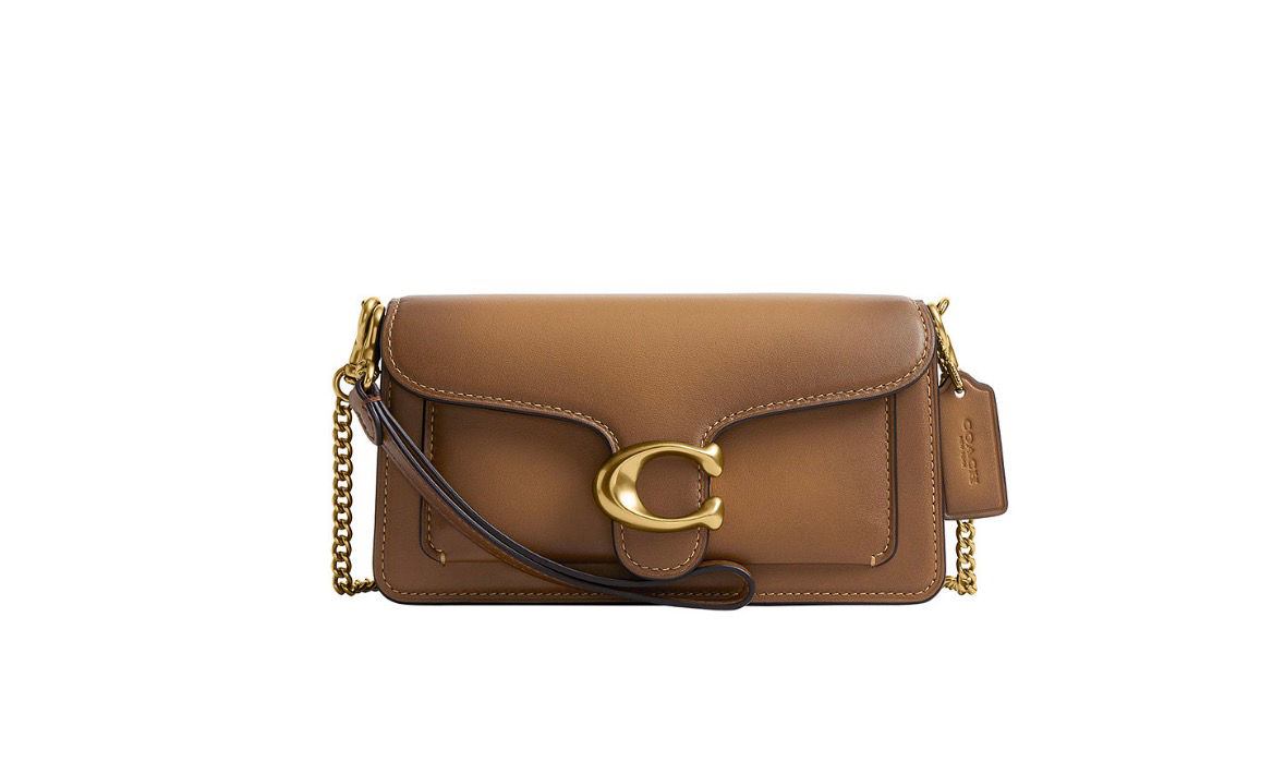 Tabby Mini Pebble Leather Chain Crossbody Bag 19