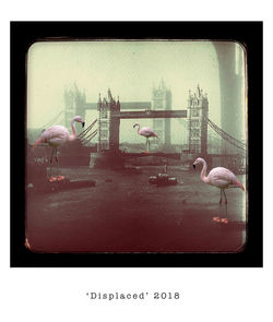 'Displaced' 2018