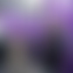 Hoe werk je aan gelijkheid?