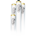 Radiance Quad Lamps