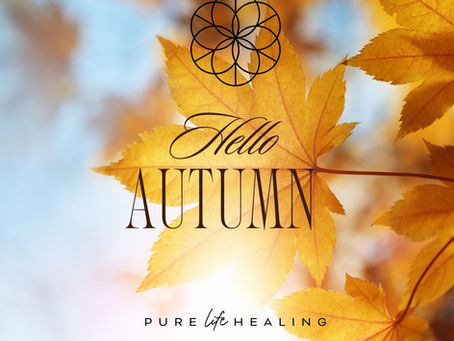 The Autumn Quarterly Newsletter