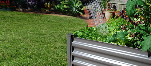 Grey metal garden bed in a sunny backyard with planted herbs