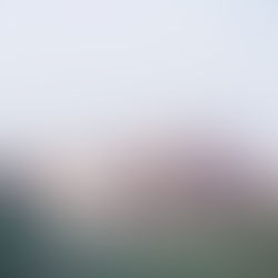 Casa Guzman memoria demolida