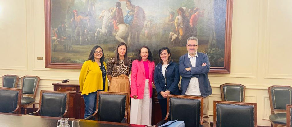 Encuentro institucional entre la Academia IDH y el Centro de Estudios Políticos y Constitucionales