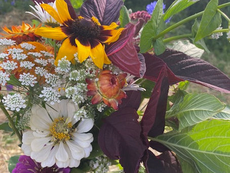 Floral Design Workshop August 16 at Detention Brewing Co.