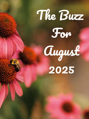 THE BUZZ FROM AUGUST 2025 🐝 | FINGERLAKES HONEY COMPANY RECAP