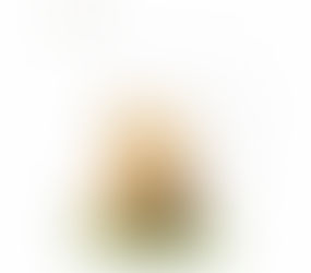 FINGERLAKES HONEY COMPANY POOH DESIGN