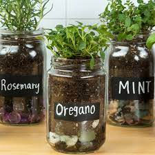 Herb Garden Starter Pots