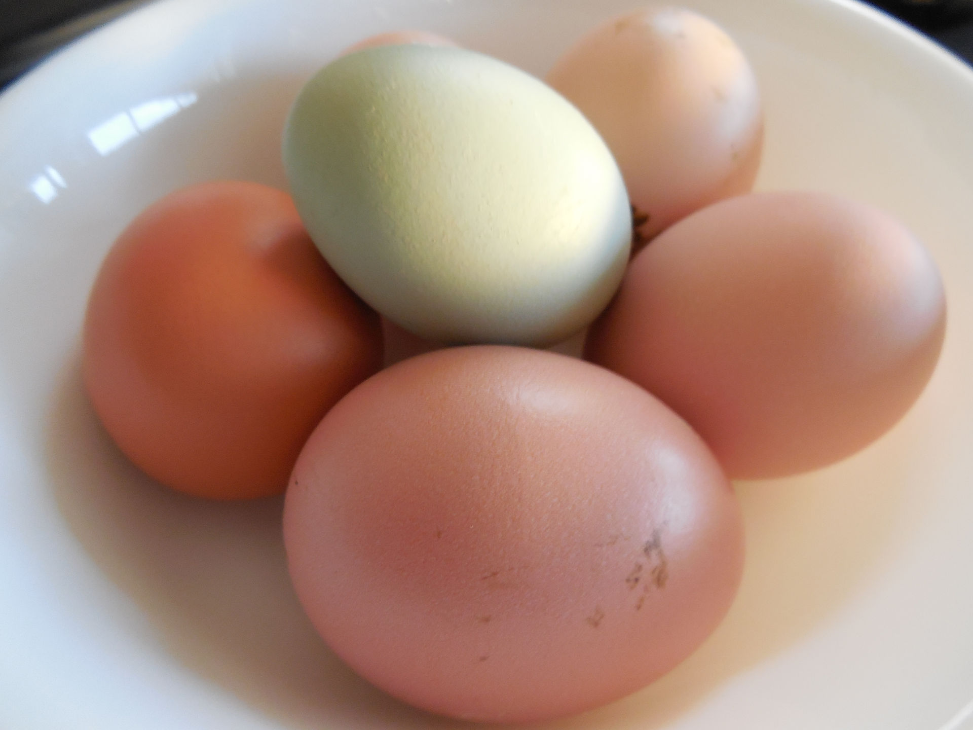 OUR FARM FRESH EGGS