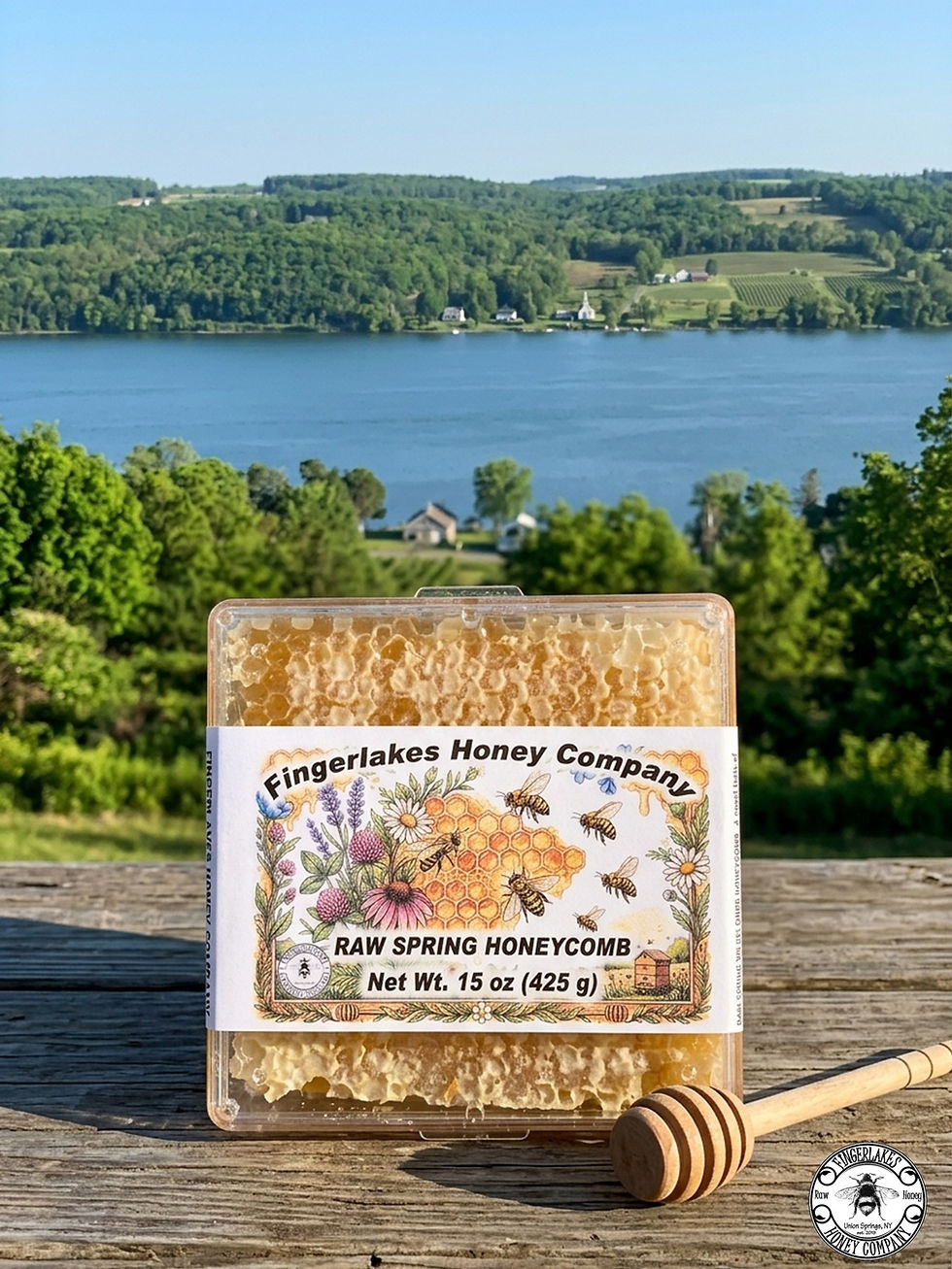 raw spring wildflower cut honeycomb from the finger lakes