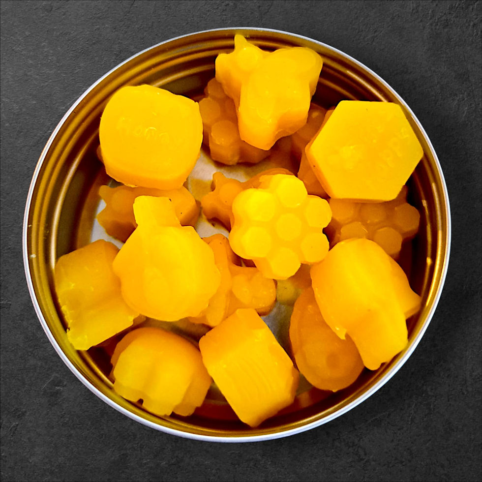 TINY BEESWAX BITS