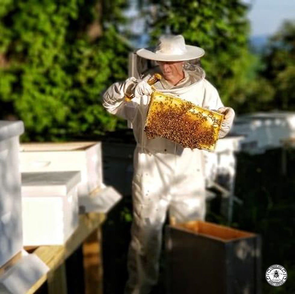 BEEKEEPER TOM