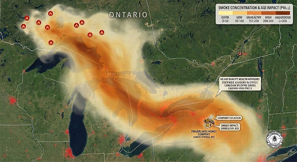 map showing canadian wildfire affects