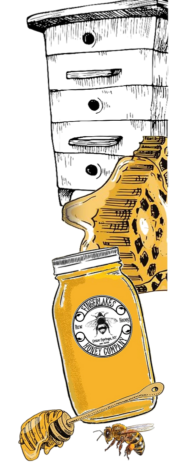 BEE HIVE, HONEY COMB, JAR OF HONEY, HONEY DIPPER, AND HONEY BEE
