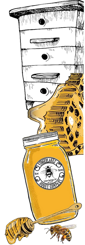 beehive, honey comb, jar of our honey, honey dipper, and honey bee
