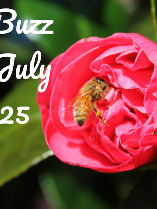 THE BUZZ FROM JULY 2025
