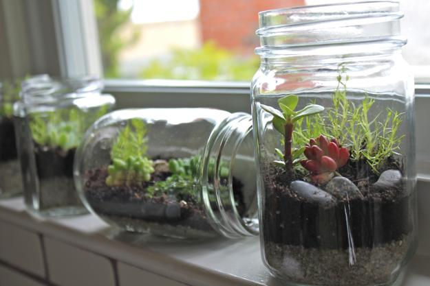 Tiny Terrariums