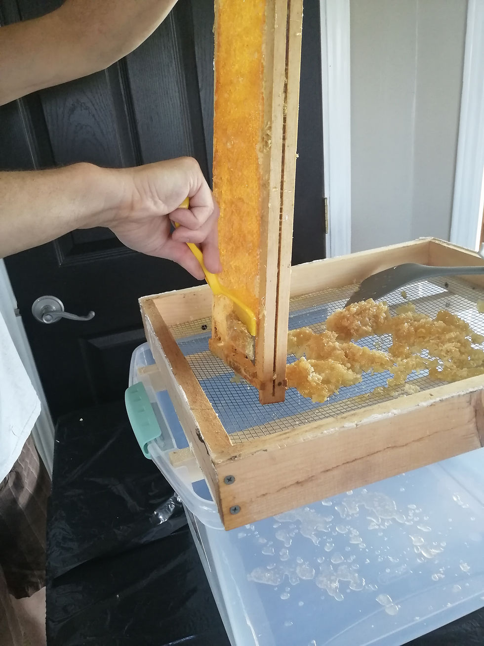 REMOVING WAX CAPPINGS ON FRAME