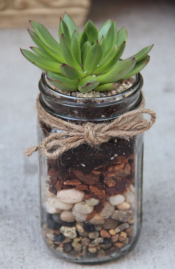 Succulent Planter