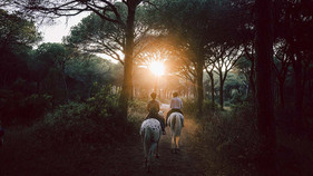 Guided horse riding experiences are also offered and you will traverse the green Maremma area surrounding the hotel