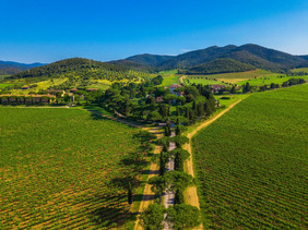 Arriving at L'Andana in the verdant hills of Tuscany