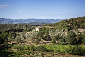 Agriturismo Ebbio in the Tuscan hills