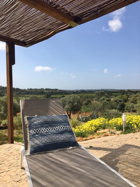 Sunbed with a view