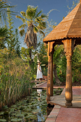 Take a stroll through the tropical garden