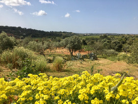 You are completely surrounded by beautiful nature