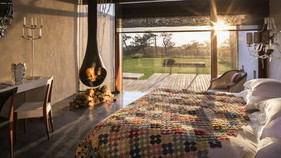 This is a Tree Room