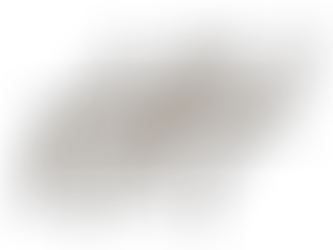 A Temple for the Holiest of Holies