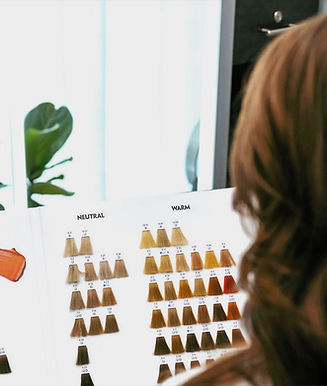 hair colorists specialist color specialists balayage red brunette